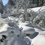 Daire Alpindesign