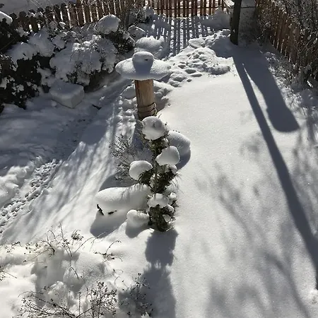 Alpindesign 아파트 카우넬탈