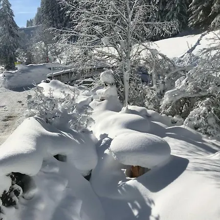 아파트 Alpindesign