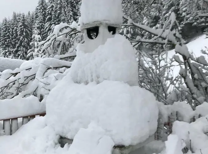 Alpindesign Lägenhet