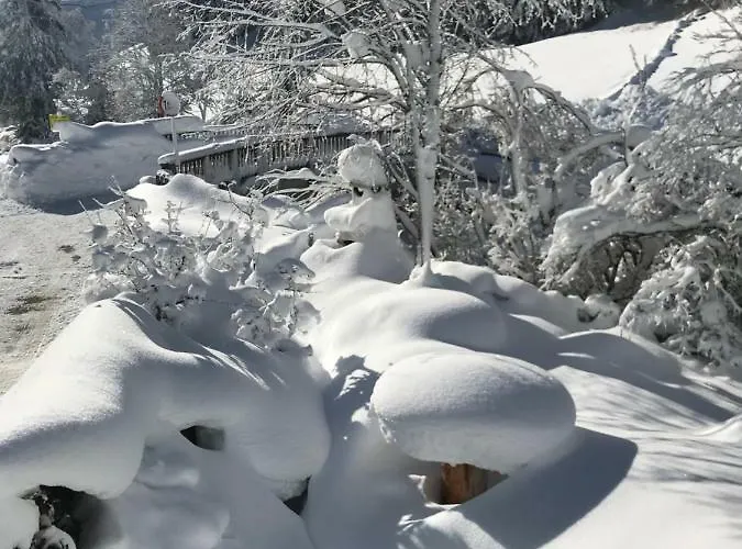 Lägenhet Alpindesign